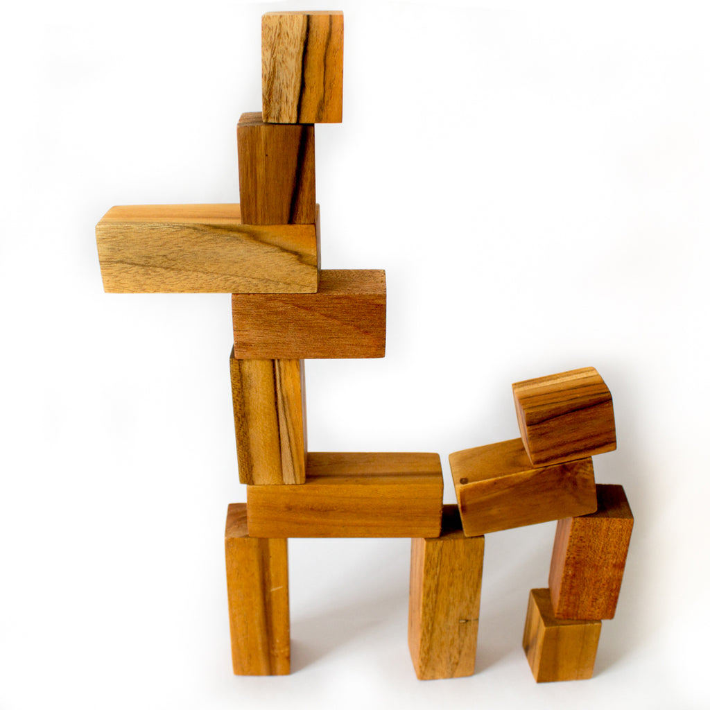 BenjiBLOCKS - 12 Blocks - Willa Walker