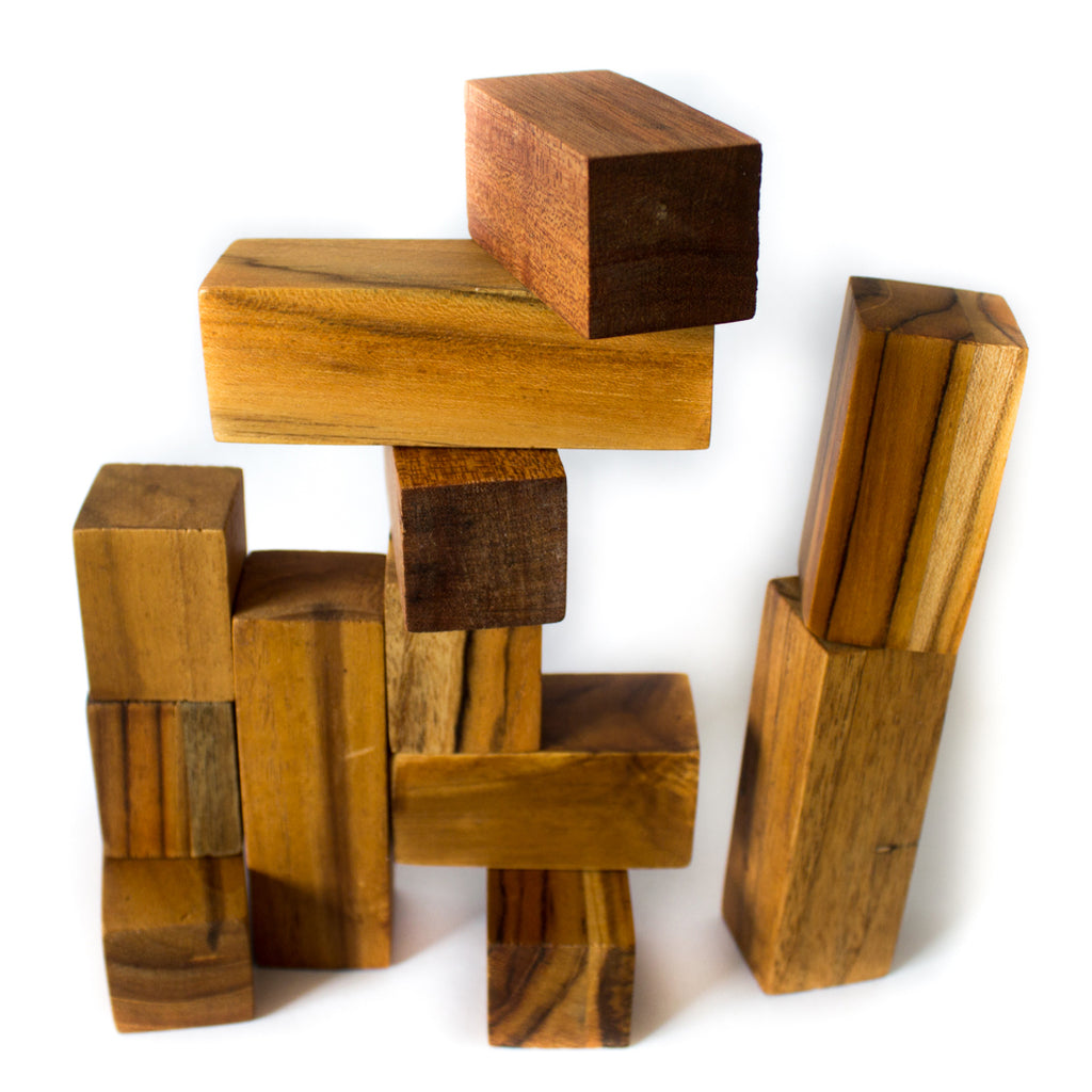 BenjiBLOCKS - 12 Blocks - Willa Walker