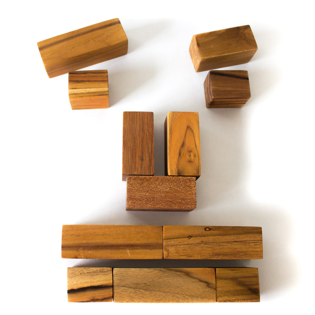 BenjiBLOCKS - 12 Blocks - Willa Walker