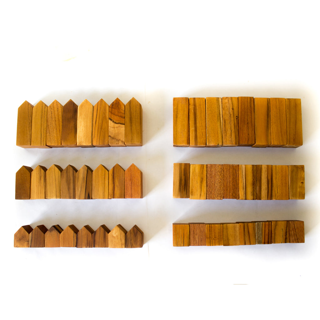 BenjiBLOCKS - 24 houses + 24 blocks - Willa Walker