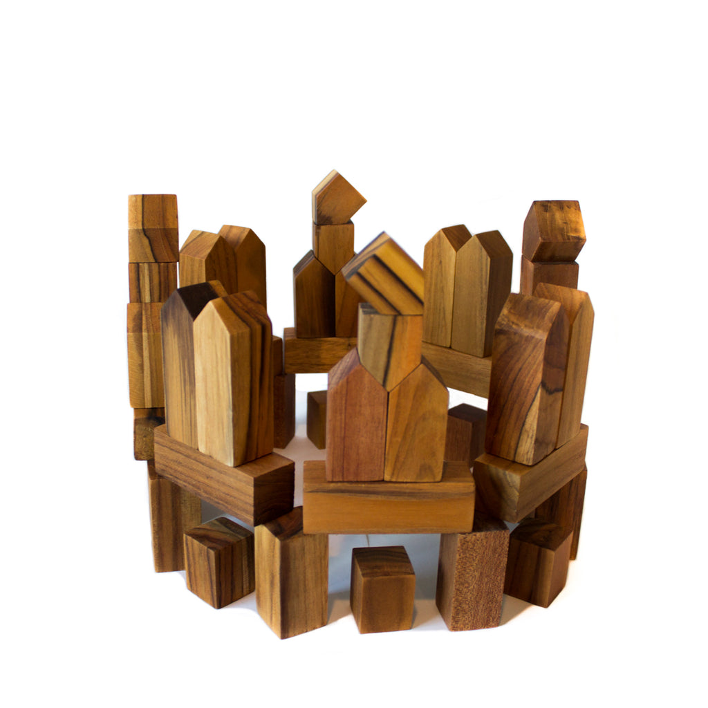 BenjiBLOCKS - 24 houses + 24 blocks - Willa Walker